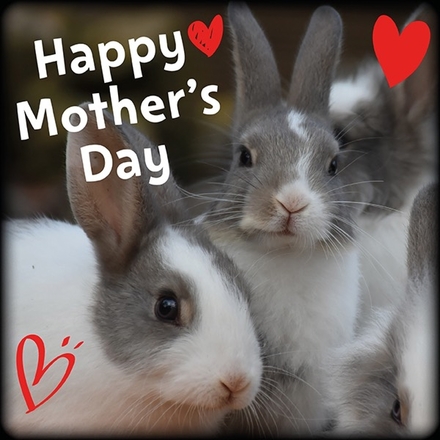 Send a Mother's Day E-Card eCards