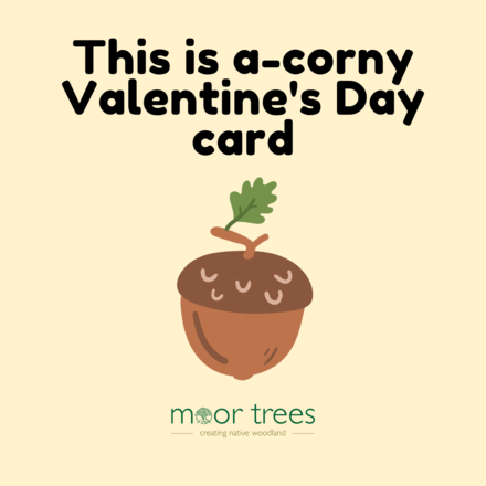 Send a Valentine's Day E-Card eCards