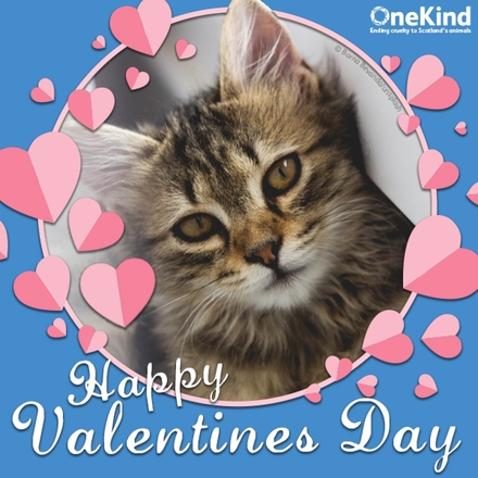Send a Valentine's e-card to your loved one eCards