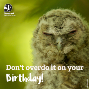 Funny hangover birthday ecard.