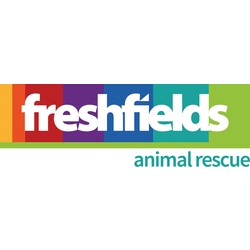 Freshfields Animal Rescue eCards