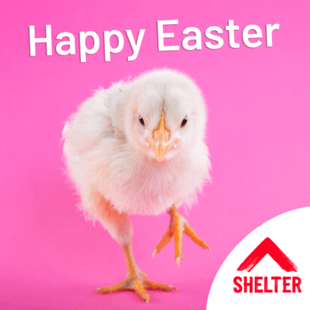 Send Easter e-cards to your friends and family eCards