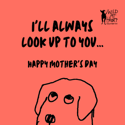 Send Mother's Day E-Cards eCards