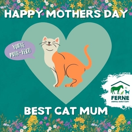 Send a Mother's Day E-Card eCards