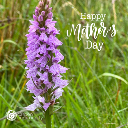Show someone that you care about them & the environment this Mother's Day. eCards
