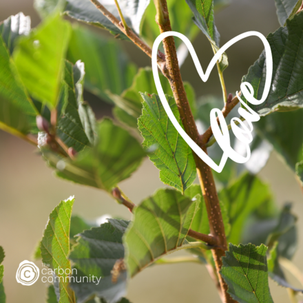 Show someone that you care about them & the environment this Valentine’s Day. eCards