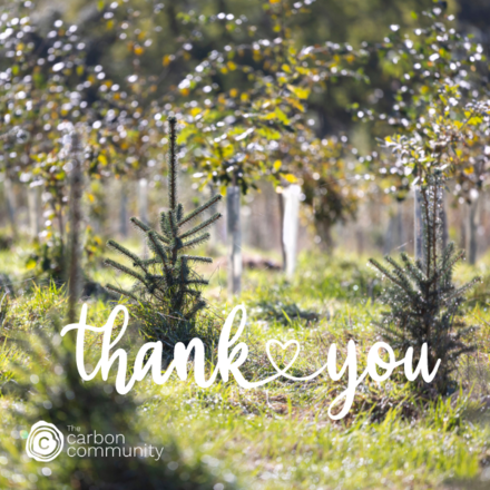 Send a Thank You ecard that captures carbon and show your love for the planet eCards