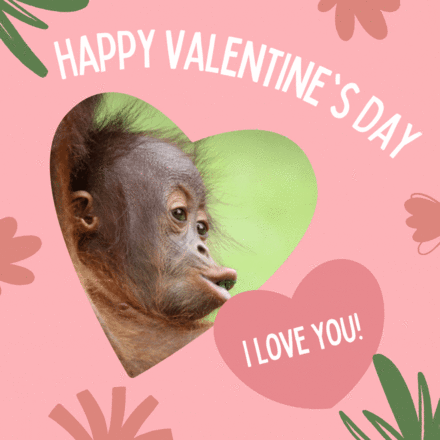 Valentine's Day eCards