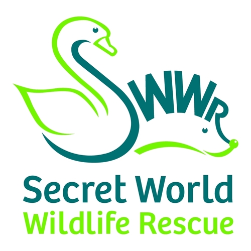 Secret World Wildlife Rescue eCards