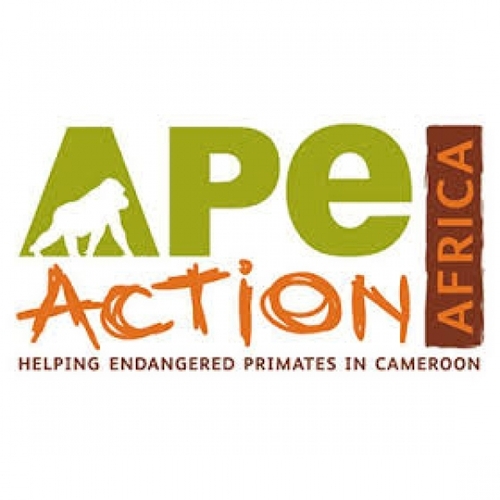 Ape Action Africa eCards