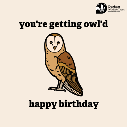 Send a Birthday E-Card eCards