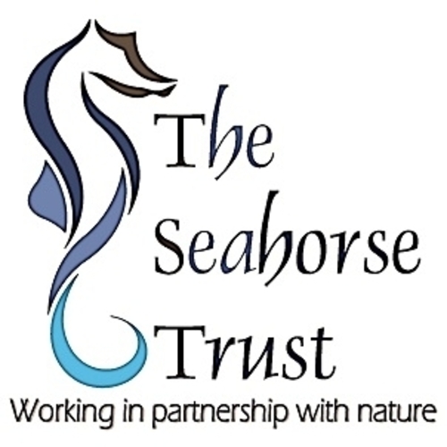 The Seahorse Trust eCards