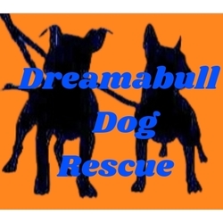 Dreamabull Dog Rescue eCards