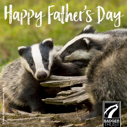 Send a Father's Day E-Card eCards