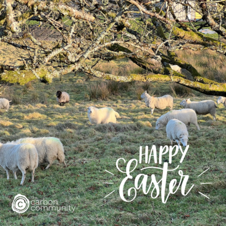 Show someone that you care about them & the environment this Easter. eCards