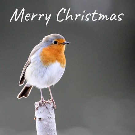 Send Christmas E-Cards eCards