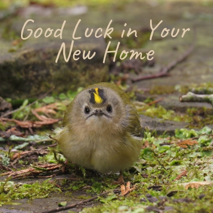 Send a New Home E-Card eCards