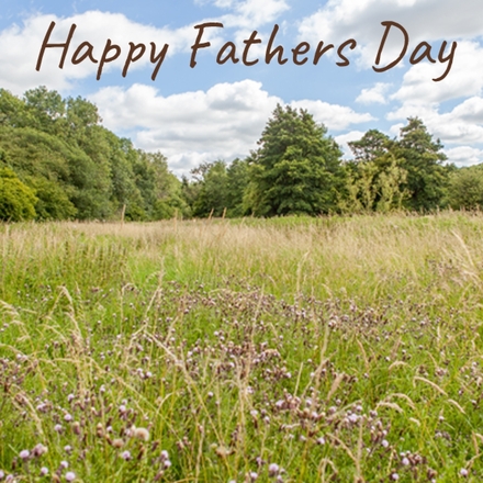 Send a Father's Day E-Card eCards