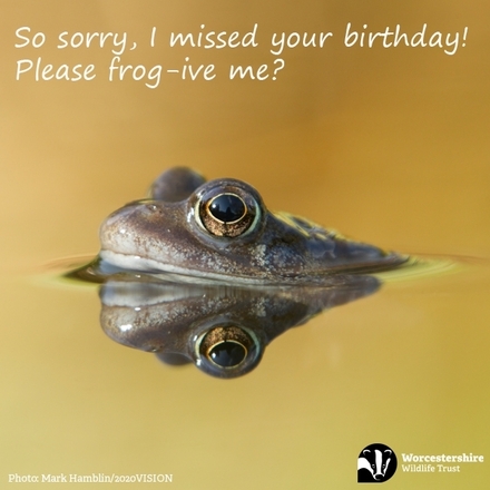 Send an Apology E-Card eCards