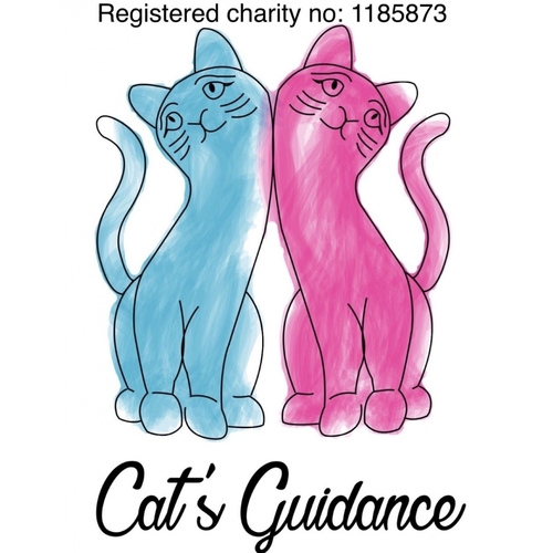 Cat's Guidance eCards