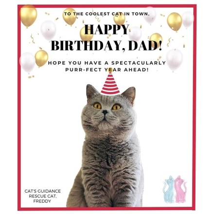 Send a Birthday E-Card  eCards