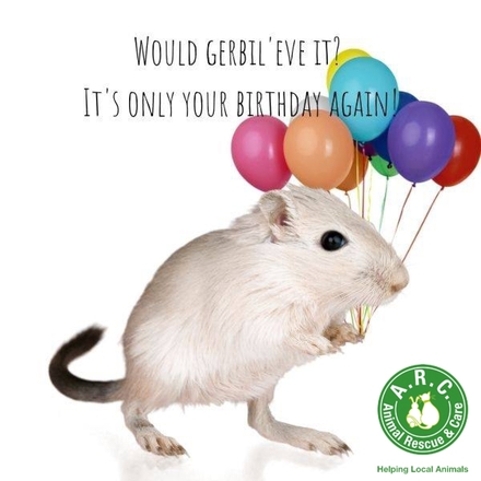 Send a Birthday E-Card eCards