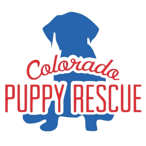 Colorado Puppy Rescue eCards