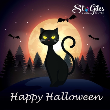 Send a Halloween E-Card eCards