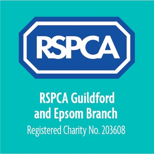 RSPCA Guildford and Epsom eCards
