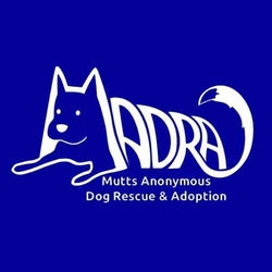 MADRA - Mutts Anonymous Dog Rescue and Adoption eCards