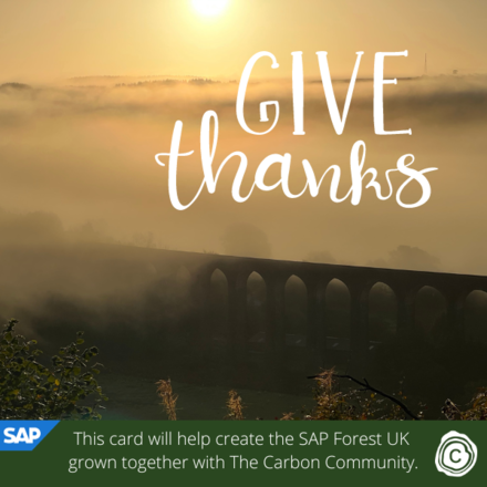 Send a Holiday eCard supporting SAP Forest UK in partnership with The Carbon Community eCards