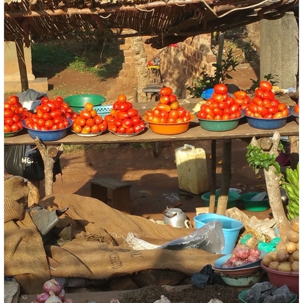 Colourful fruit or a handful of seeds?  Your choice! eCards