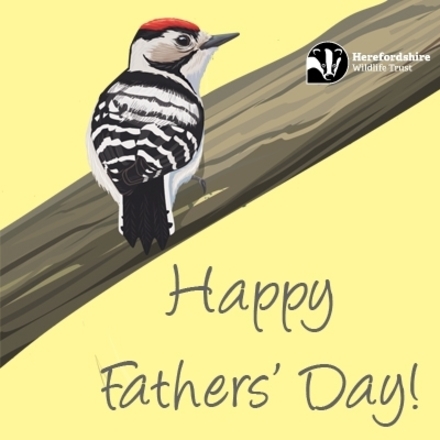 Send an e-card this Fathers' Day! eCards