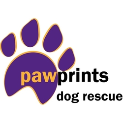 Pawprints Dog Rescue eCards