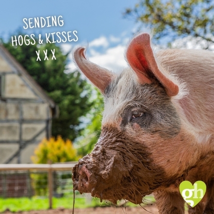 Send a Mother's Day E-Card eCards