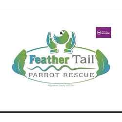 Feather Tail Parrot Rescue eCards