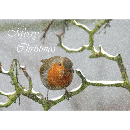 Send a TSSS UK Christmas E-card eCards