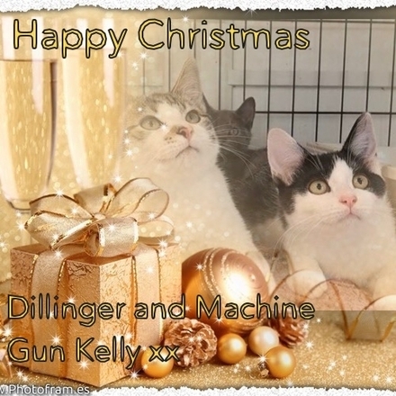 Send Christmas E-Cards eCards