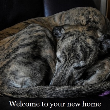 Welcome to your new home eCards