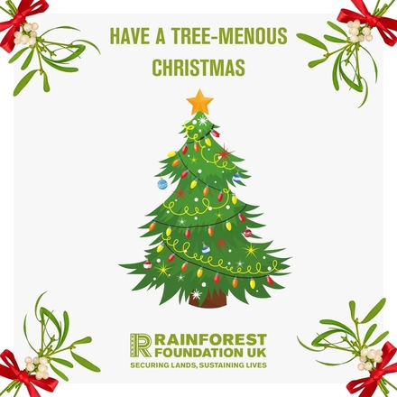 Send Christmas good will to your loved ones and a good cause! eCards