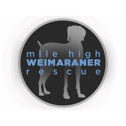 Mile High Weimaraner Rescue eCards