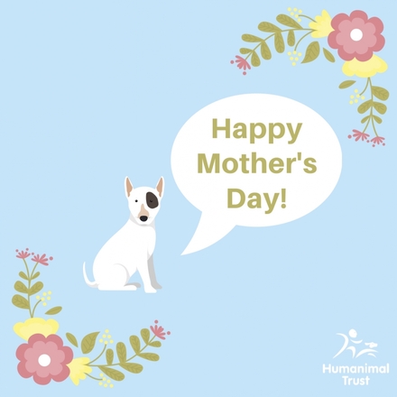 Send a Mother's Day e-card eCards