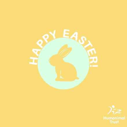 Send an Easter e-card eCards