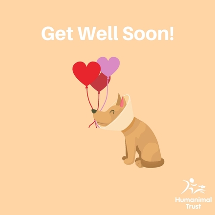 Send a Get Well e-card eCards