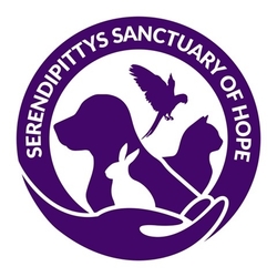Serendipittys Sanctuary of Hope eCards