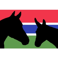 The Gambia Horse and Donkey Trust eCards