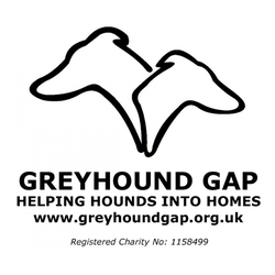 Greyhound Gap eCards