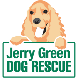 Jerry Green Dog Rescue eCards