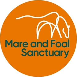 The Mare and Foal Sanctuary eCards