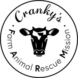 Cranky's Farm Animal Rescue Mission Ltd eCards